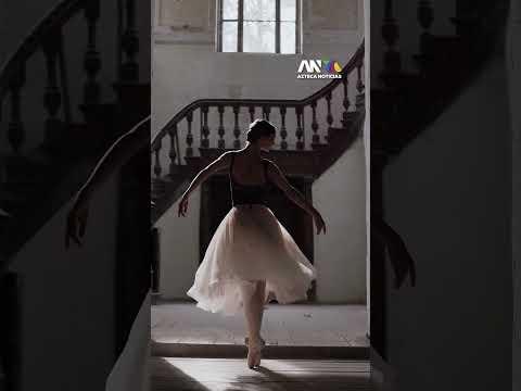 ¡SE ENCENDIÓ LA POLÉMICA EN EL ARTE! | Timothée Chalamet dijo que no le interesa trabajar en ballet