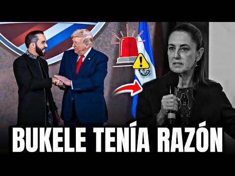 TRUMP LE DA LA RAZÓN A BUKELE SOBRE SHEINBAUM🤯 "LOS CARTELES GOBIERNAN MEXICO"