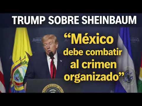 Trump elogia a Sheinbaum y pide combatir al crimen organizado en Mexico