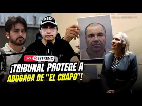 ACTIVISTA RETA a CORTE del ACORDEÓN y DECLARA "DESACATO" a SENTENCIA en favor de abogada de El Chapo