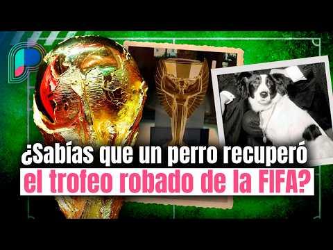 Puente Mundialista: ¿qué jugador brillará en el Mundial? | Análisis del Grupo I