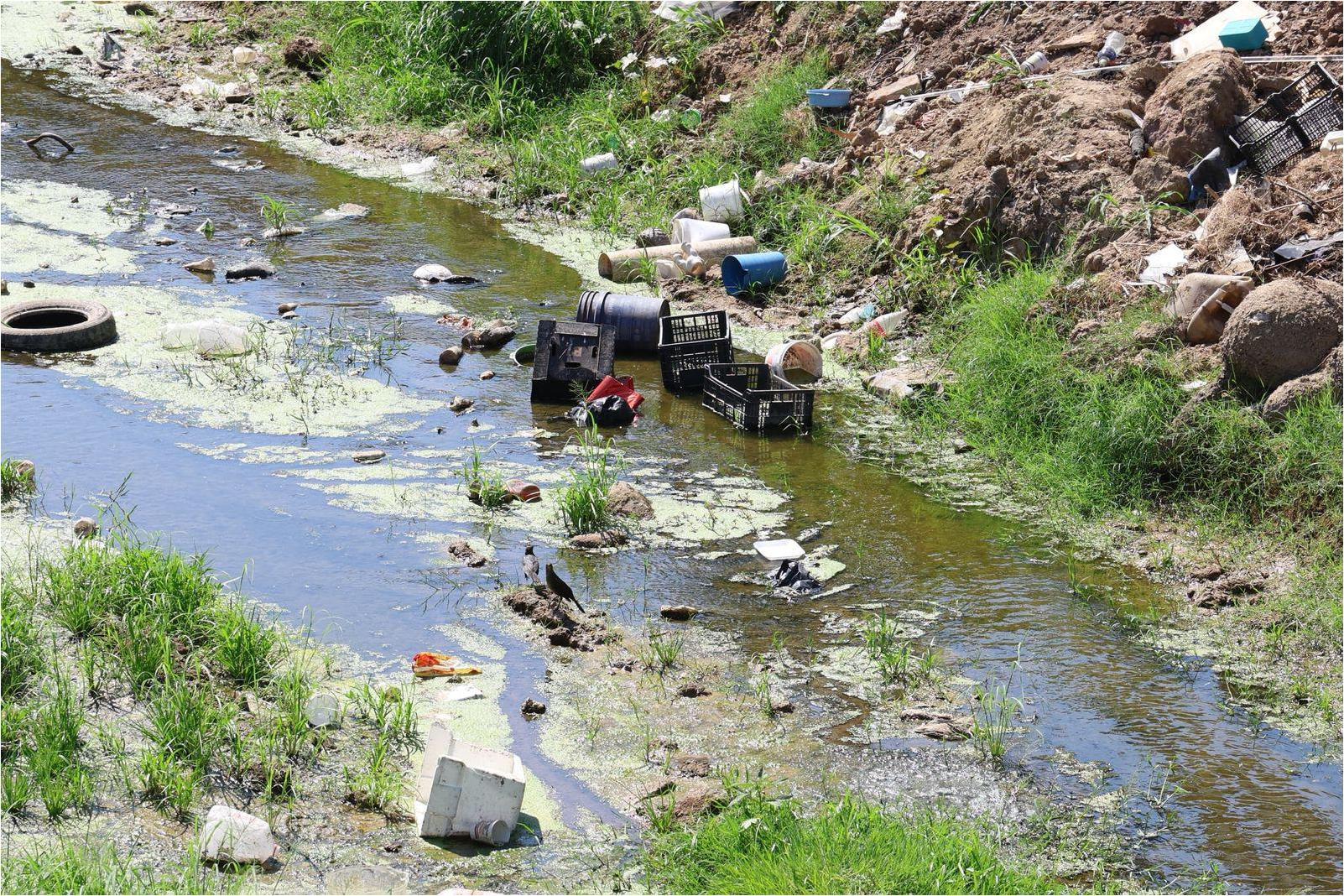 Mazatlán Ahogado en Basura: Falla Ambiental del Gobierno