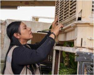 Sonora Refuerza Casa Limpia vs. Dengue: ¡Tu Salud Primero!