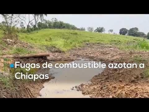 Ecocidio en Chiapas: Fuga de combustible cumple un mes contaminando tierras y ganado en Reforma