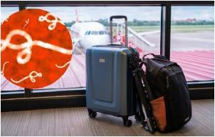 Alerta Ébola México: Medidas Aeroportuarias de Último Minuto